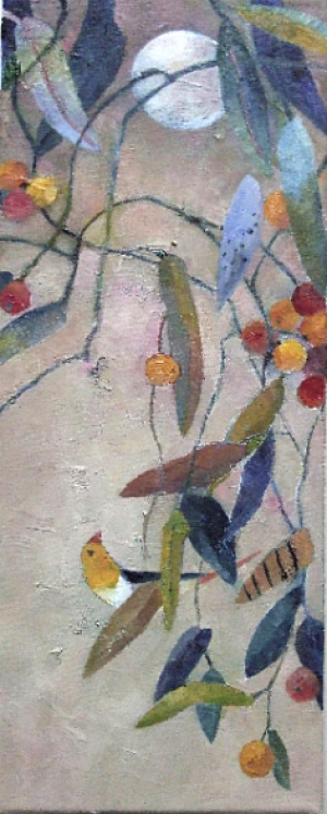 Silbermondfrüchte .