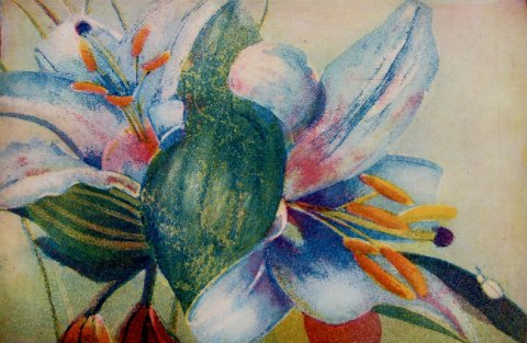 weisse Lilien