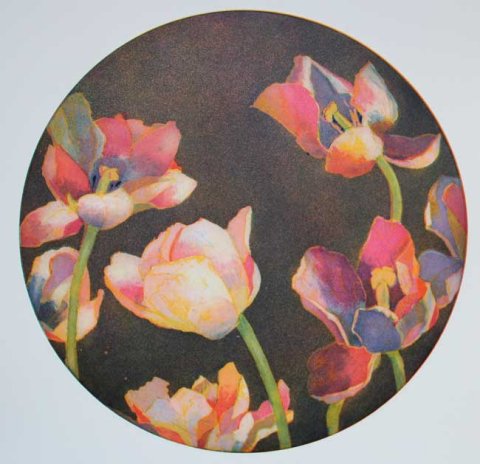 Nachttulpen