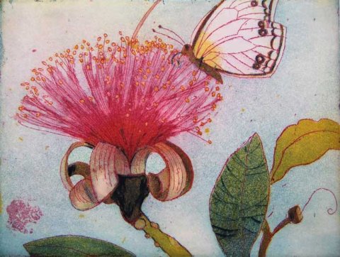 Naschender Schmetterling