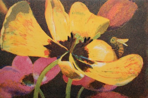 Leuchtende Tulpen