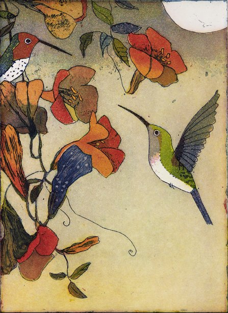 Kolibris