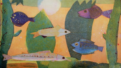 Fische unterwegs