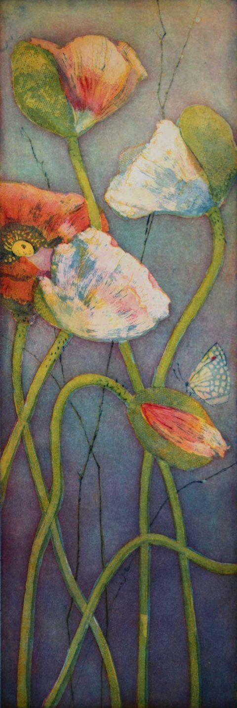 Tr&auml;umender Mohn