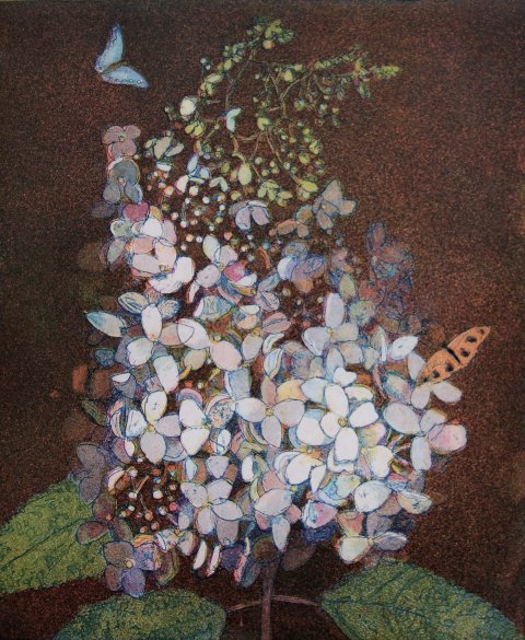 Kleine weisse Hortensie