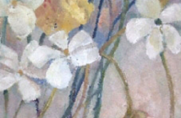 Kleiner Sommerbesuch