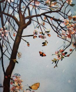 Blüten im Mondlicht